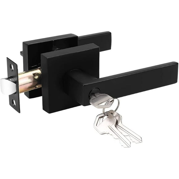 Bedroom Door Locks with Key