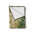 thumbnail image 2 of Industrial Soft Flannel Fleece Throw Blanket, Rustic Brick House Still Door with Moss and Dirt Urban Garage Outdoor Image, Cozy Plush for Indoor and Outdoor Use, 50" x 70", Green Yellow, by Ambesonne, 2 of 6