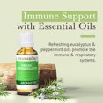 thumbnail image 4 of Pranarom - Aromaforce Immune Defense Solution - Eucalyptus, Rosemary, Peppermint, Corriander, and Clove Bud - 100% Pure Essential Oil Blend | USDA and ECOCERT Certified Organic (30ml), 4 of 4