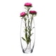 thumbnail image 2 of Florero De Vidrio 280 Ml Pasabahce, 2 of 3