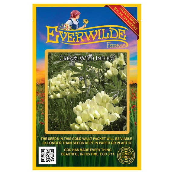 Everwilde Farms - 10 Cream Wild Indigo Native Wildflower Seeds - Gold Vault Seed Packet