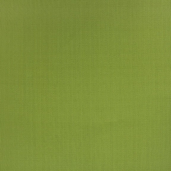 Berkshire Home Fiera Color Kiwi 100% Polyester 54" Width Cut by Yard Indoor/Outdoor Fabric