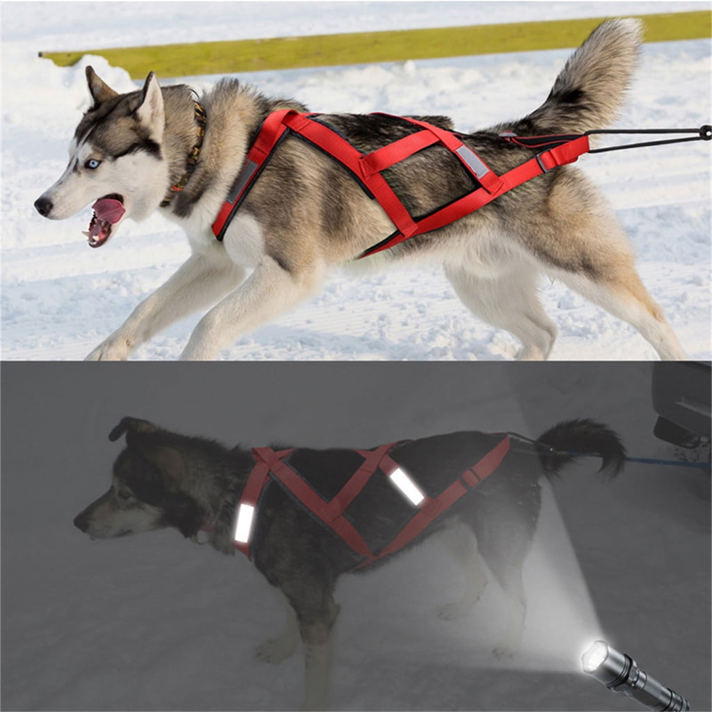 Dog Harness Vest for Large Dogs Harnesses for Sledge Skiing Sports Heavy Duty Belt Comfortable for Dog Training