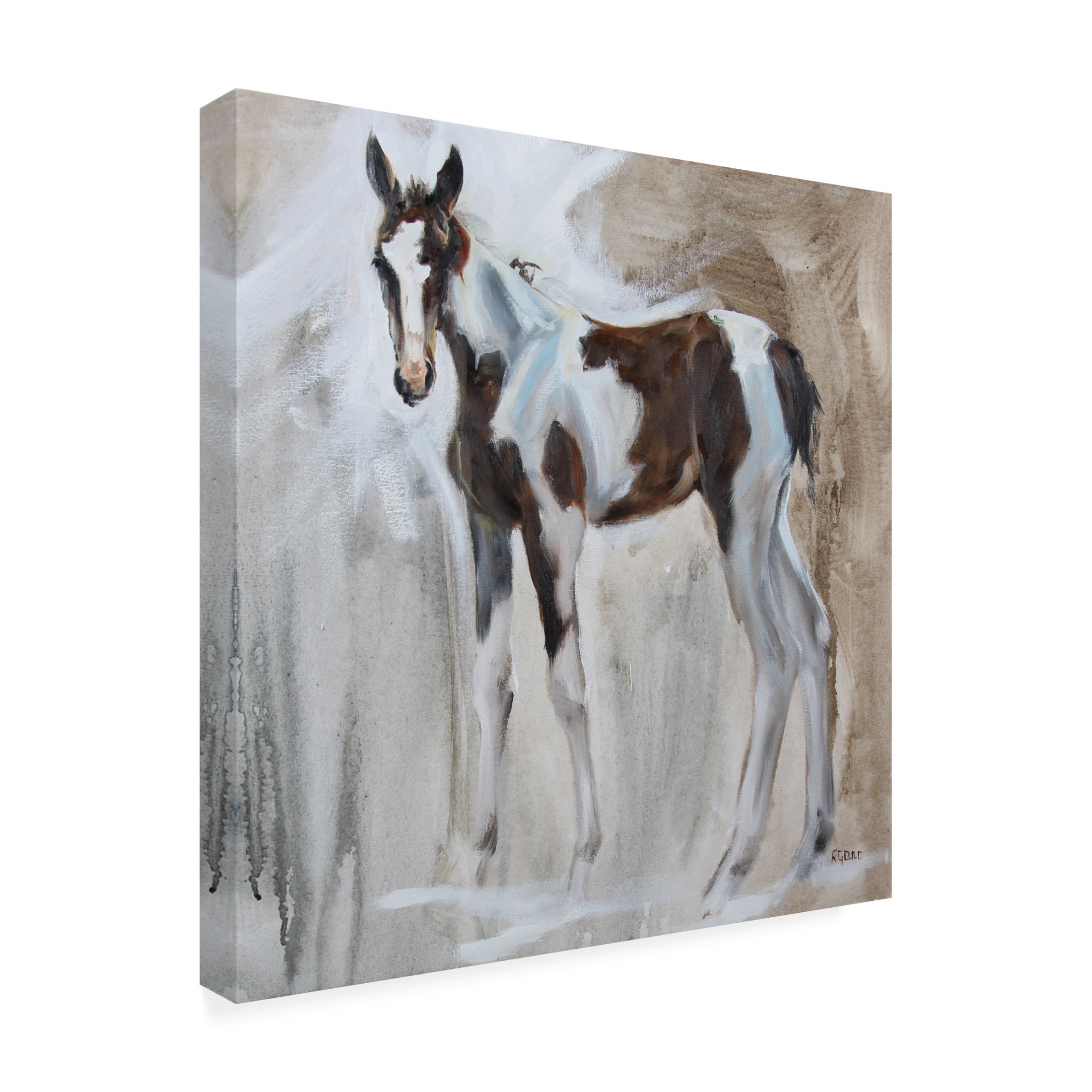 Canvas Wall Art - Renee Gould 'Tiggs' Wall Art for Living Room, Bedroom, or Office Décor by Trademark Fine Art - 18 x 18 Inches