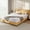 10" Queen, variant on Sailvan Queen Mattress in a Box, Medium Firm Mattress Queen Size, 10 inch Memory Foam Mattress with Removable Cover, Edge Support, Pressure Relief & CertiPUR-US