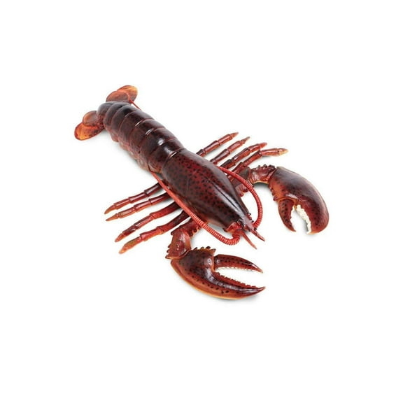 Safari Ltd. Maine Lobster Figurine - Realistic 8" Crustacean Figure - Educational Toy for Boys, Girls, and Kids Ages 3 