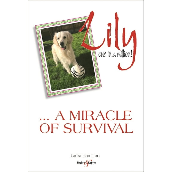 Lily: One in a Million: ... a Miracle of Survival, (Paperback)