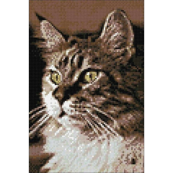 Cat at Home CS212 7.9 x 11.8 inches Crafting Spark Diamond Painting Kit