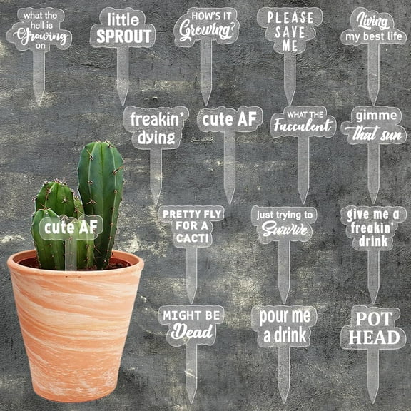 15 Pcs Funny Plant Markers Wooden Garden Stakes T-Type Garden Labels Funny Phrases Plant Funny Garden Signs Garden Tags for Indoor and Outdoor Potted Seed Herbs 4x2.67inch(10.2x6.8cm) Clear 1set
