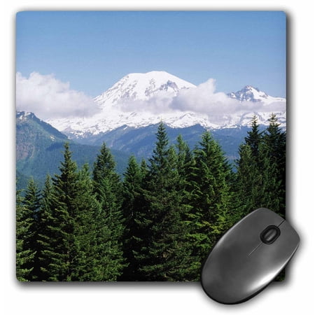 3dRose  Forest  Mt Rainier National Park  Washington  USA - US48 PSO0064 - Paul Souders  MousePad price history on PriceWatchPro