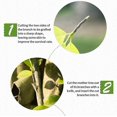 thumbnail image 3 of 2 Pcs Grafting Tape, Grafting Tapes, Nursery Grafting Biodegradable Self Adhesive Stretch Tape, Repair Tape For Garden Grafted Fruit Tree Plants 3cm*1, 3 of 5