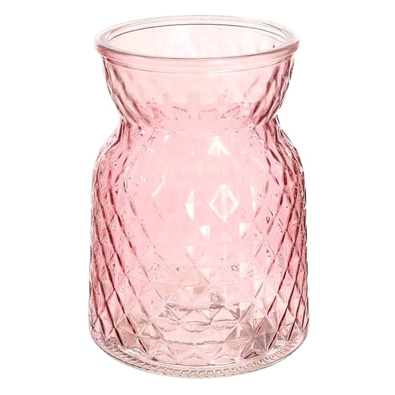 Glass Vase for Flower Arrangements and Hydroponic Plants, Decorative Ornament for Home Storage and Display