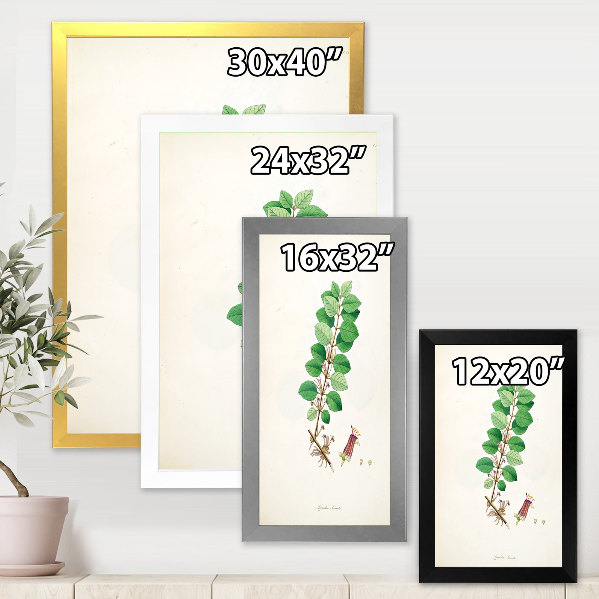 Designart 'Ancient Plant Life XVII' Farmhouse Framed Art Print