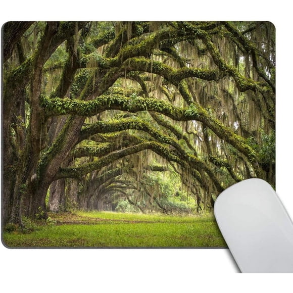 Custom Gaming Mouse Pad Oaks Avenue Charleston SC Plantation Live Oak Trees Landscape NonSlip Rubber Rectangle Pads for Computers and Laptops Bring Nature to Your Workspace