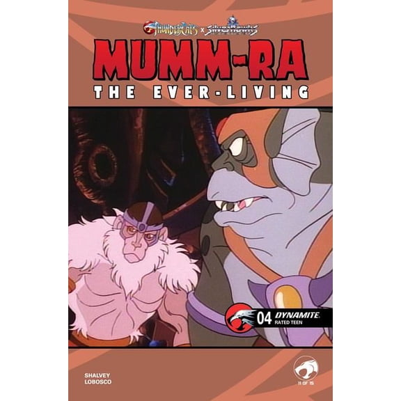 Collectible Mumm-ra The Ever Living #4 Cvr E Animation Art Var DYNAMITE Entertainment Comic Book