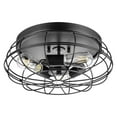 thumbnail image 1 of Prominence Home Lincoln Woods 15" Flush Ceiling Mount Light with Cage, Black, 1 of 8