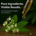 thumbnail image 6 of Mayan's Secret Organic Neem Oil 4 fl oz for Skin and Hair Care, Cold Pressed Non-GMO Oil, 6 of 8