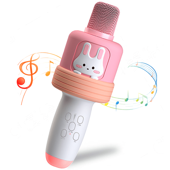 Richgv Kids Karaoke Microphone Toys for Girls 3-6 Years, Handheld Wireless Bluetooth Mic Speaker Machine with LED Light, Kids Toys Birthday Party Gift for Toddlers
