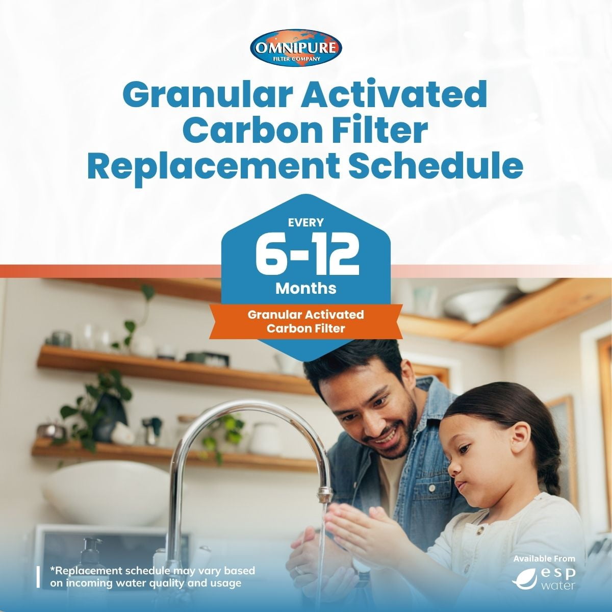 Omnipure Q5633 T33 Granular Activated Carbon Replacement Water Filtration Cartridge, 2.5 x 12 in, 0.5 Gpm, 2500 gal, 4-Pack, for RO and Under-Sink Systems