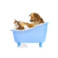 thumbnail image 2 of Cat Wash Dog and Wall Decal by Wallmonkeys Peel and Stick Graphic (18 in W x 16 in H) WM299289, 2 of 4