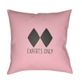 thumbnail image 1 of Surya Experts Only Black Diamond Outdoor Pillow, 1 of 2