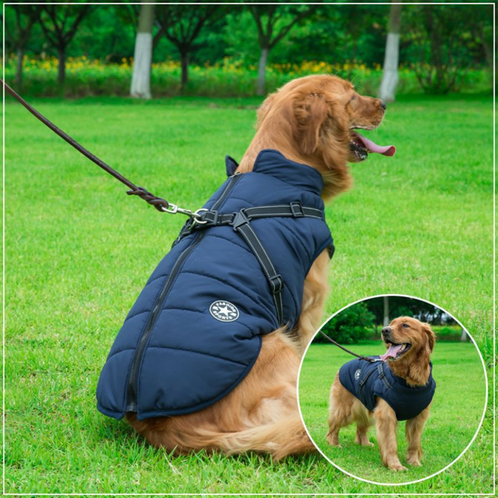 dog coats with zipper on back