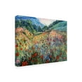 thumbnail image 3 of Trademark Fine Art Masters Fine Art Field of Wild Flowers Canvas Wall Art - 18x24, 3 of 5