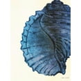 thumbnail image 2 of Loreth, Lanie 15x18 White Modern Wood Framed Museum Art Print Titled - Blue Shell III, 2 of 4