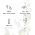 thumbnail image 6 of Edens Garden Lavender- Bulgarian Essential Oil- 100% Pure Premium Grade, Undiluted, Natural, Therapeutic, Aromatherapy, The Best for Diffuser, Skin, Humidifiers, Kid Safe 10 ml (.33 fl oz), 6 of 9