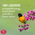 thumbnail image 4 of Nectar d'Oriole Instantané 8 Oz. Sac, 4 of 4
