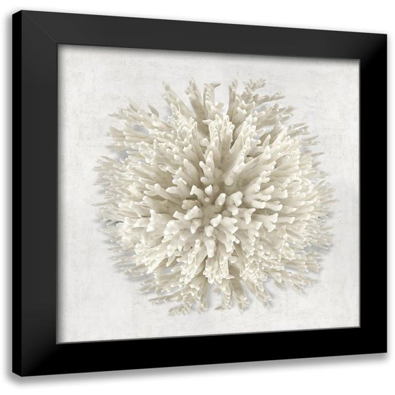 Kelly, Caroline 12x12 Black Modern Framed Museum Art Print Titled - Coral I