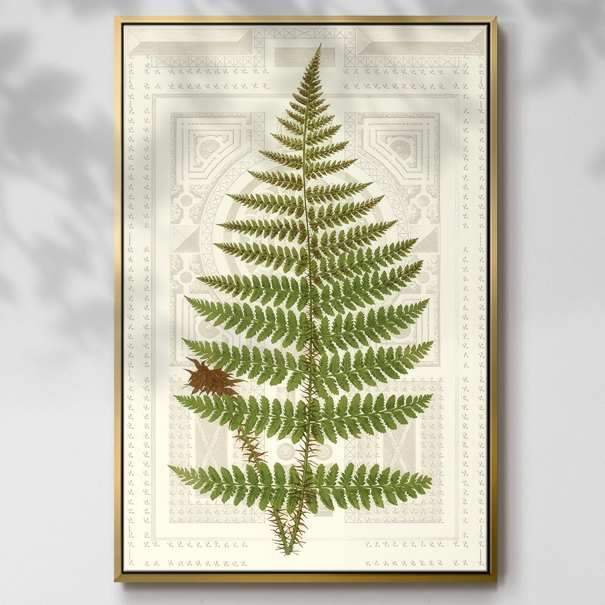 Garden Ferns V - Framed Gallery Wrapped Holiday Canvas - 17 x 25 - Gold Frame