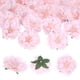 thumbnail image 1 of Uxcell 30-Pack Cabezas de Peonías Artificiales, Cabeza de Peonía de Seda Falsa de 2.4 Pulgadas para Boda/Ramo/Pared de Flores [Rosa, 6cm], 1 of 7
