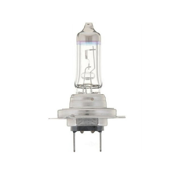 Low Beam Headlight Bulb - Compatible with 1997 - 2003 ES300 1998 1999 2000 2001 2002