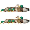 thumbnail image 2 of Avian X AXP Full Body Mallards Decoy, Realistic & Wind Activated, 12 Pack, 2 of 2
