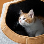 Kitty City Large Felt Cat Cave with Faux Leather Trim, Washable Cushion, Gray
