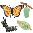 thumbnail image 4 of VGEBY Strengthen Parent‑Child Relationships Insect Model, Model, For Kids Parents Home School, 4 of 8