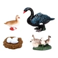 thumbnail image 2 of Figuras de modelos de ciclo de vida de animales, cisne, abeja, juguete para niños, juguetes educativos de aprendizaje Cisne negro, 2 of 9