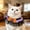B, variant on Ailezt Halloween Decor Halloween Collars Cat Necklace Adjustable Buckle Breakaway Design For Small Medium Large