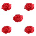 thumbnail image 3 of Minnieouse Bufanda de mujer Estilo simple Bloqueador solar Sedoso Elegante Pañuelo Cubierta de cuello Accesorio de ropa de moda para exteriores Type2 NO2, 3 of 6