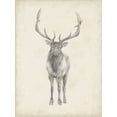 thumbnail image 2 of Harper, Ethan 25x32 White Modern Wood Framed Museum Art Print Titled - 40x30 Custom Elk Study, 2 of 4
