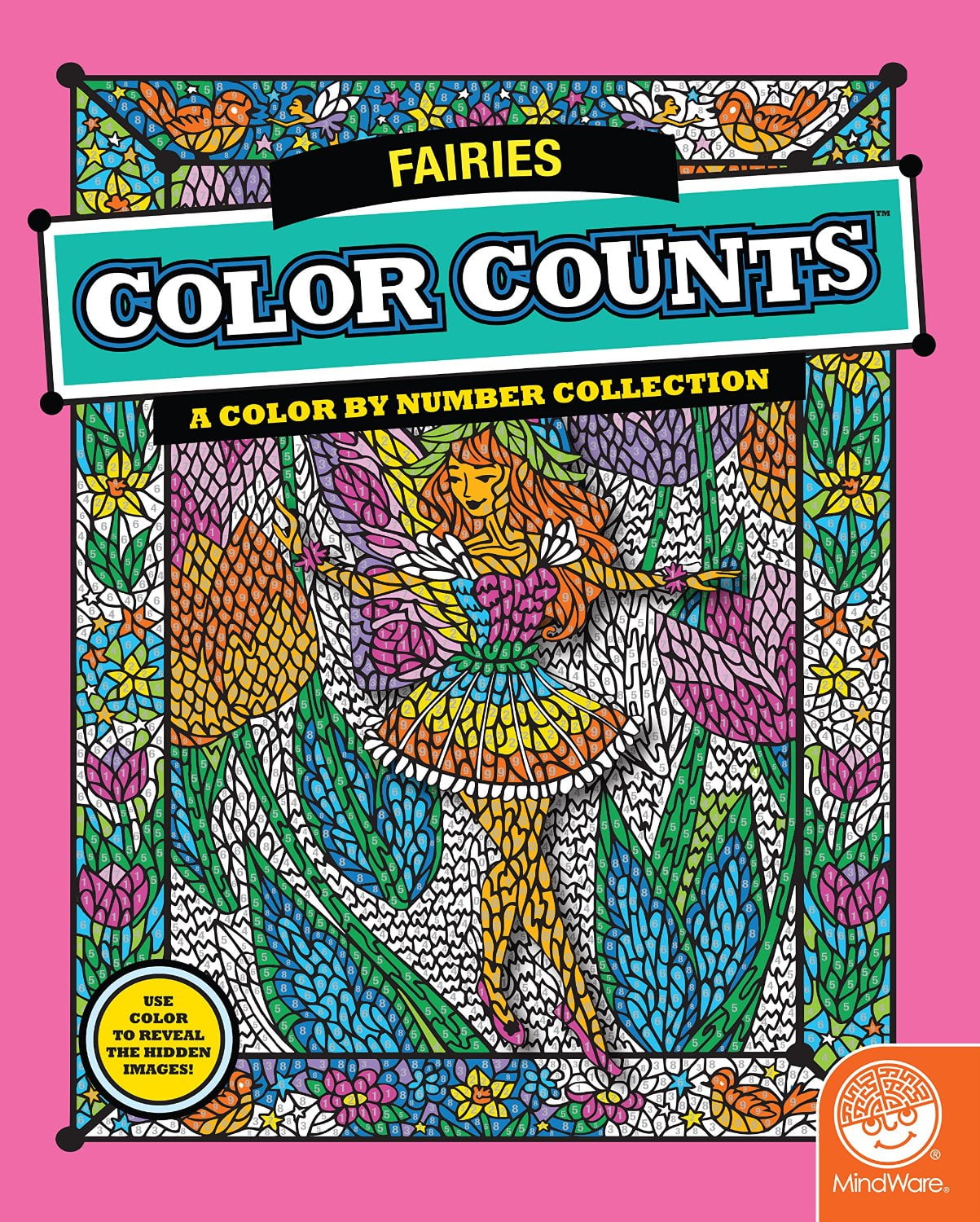 Color Counts Fairies Coloring Books 1 Piece