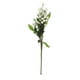 thumbnail image 3 of Tallos de Bayas Vibrantes Juego de 5 Bayas Artificiales Frutas y Flores Realistas para Ramos de Novia DIY Celebraciones de Fiestas en Casa ANGGREK  Otros, 3 of 8