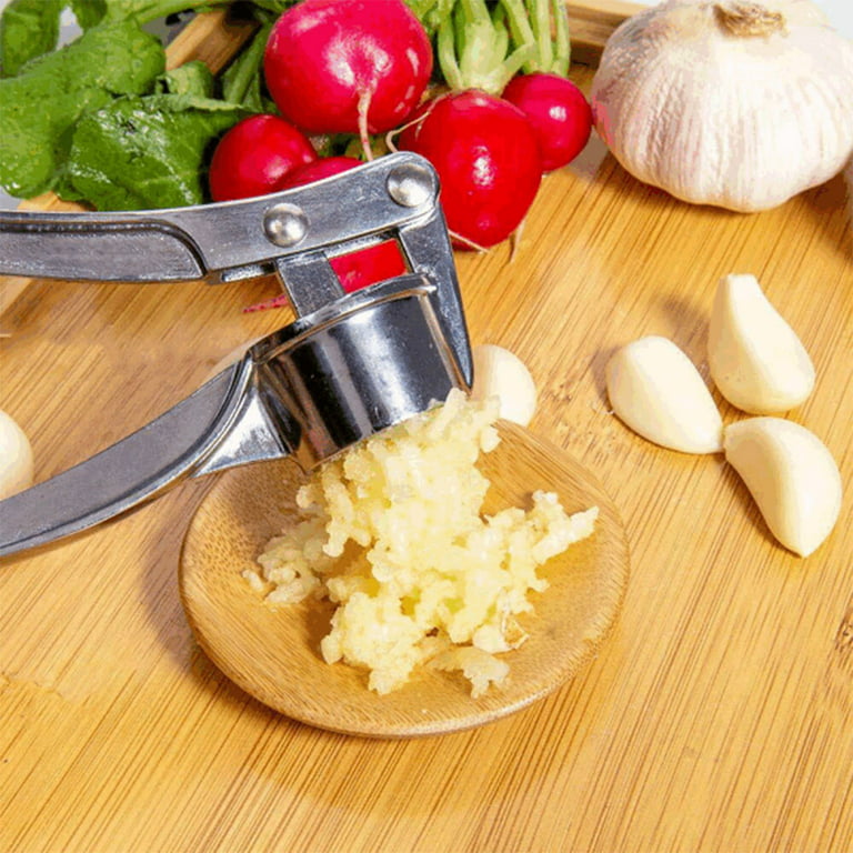 PIPETPET Garlic Press Crusher Professional Squeezer Masher Kitchen Mincer  Tool- Easy to Clean(Stainless Steel) 