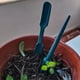 thumbnail image 2 of Advancent Pala de plástico multifunción para suelo, herramientas de jardín duraderas, fáciles de usar y versátiles, 3 piezas Jardín y Patio, 2 of 6