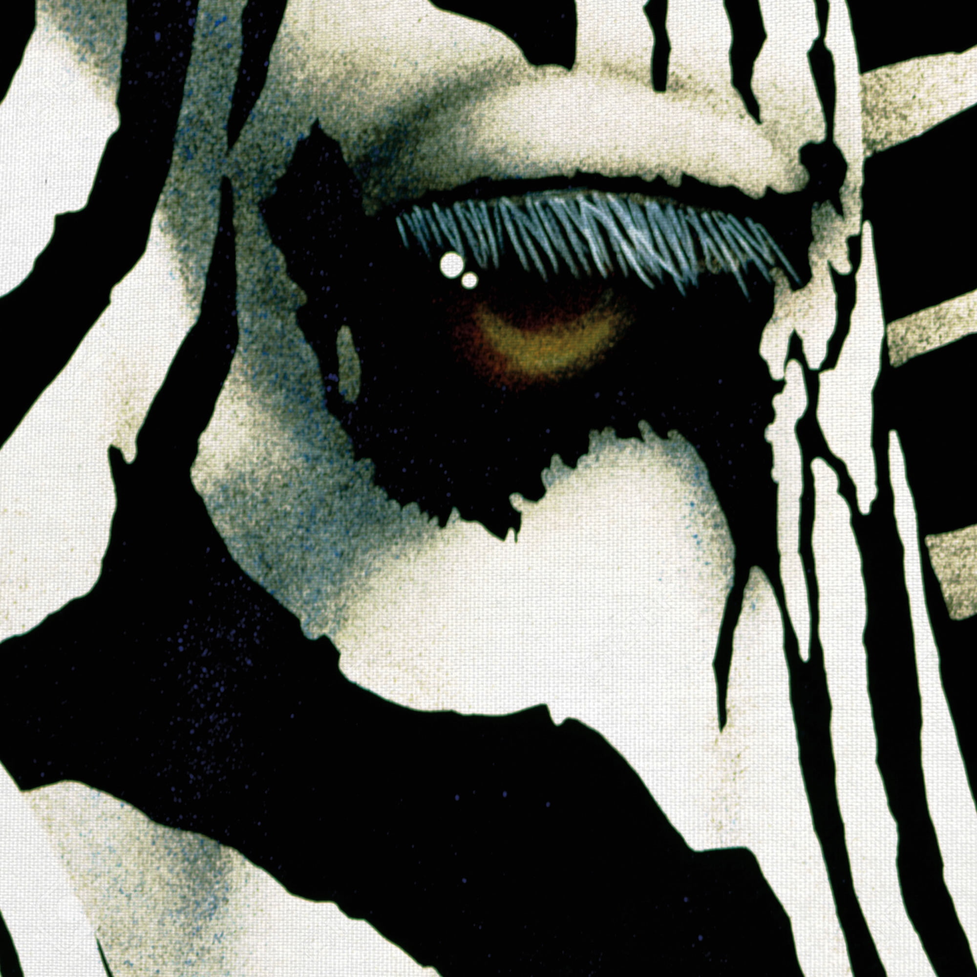 Masterpiece Art Gallery Do Zebras Dream in Color by Will Bullas Canvas Art Print 24" x 24"