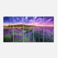 thumbnail image 2 of Champ de Lavande d'Été à Tihany - Art Mural Moderne sur Toile, 2 of 3