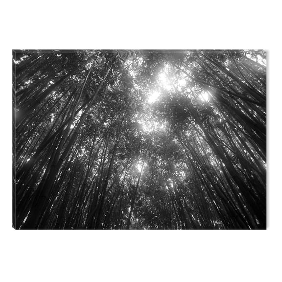Startonight Canvas Wall Art Black and White Abstract Forest Light, Dual View Surprise Artwork Modern Framed Ready to Hang Wall Art 100% Original Art Painting 23.62 X 35.43 inch