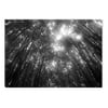 Startonight Canvas Wall Art Black and White Abstract Forest Light, Dual View Surprise Artwork Modern Framed Ready to Hang Wall Art 100% Original Art Painting 23.62 X 35.43 inch