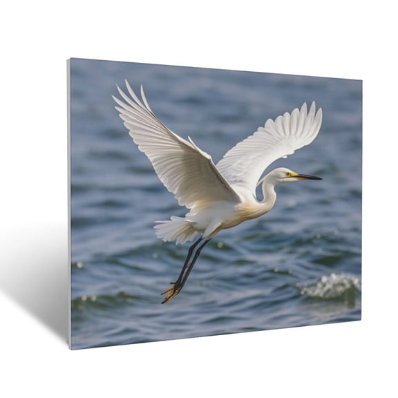 Elegant Egret Canvas Paintings Canvas Decorative Picture Bedroom Wall Decor Home Decor 16 X 20 For Living Room Bedroom Kitchen Office